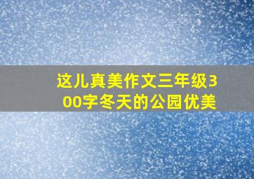 这儿真美作文三年级300字冬天的公园优美