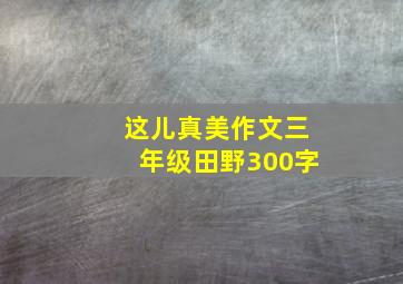 这儿真美作文三年级田野300字