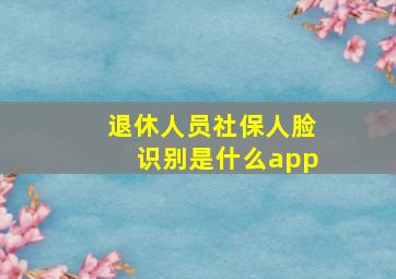 退休人员社保人脸识别是什么app