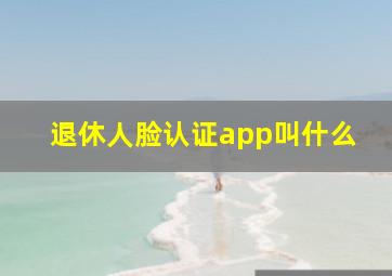 退休人脸认证app叫什么