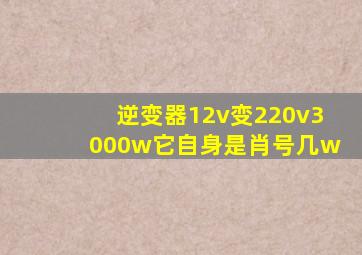 逆变器12v变220v3000w它自身是肖号几w