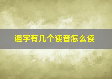 遍字有几个读音怎么读