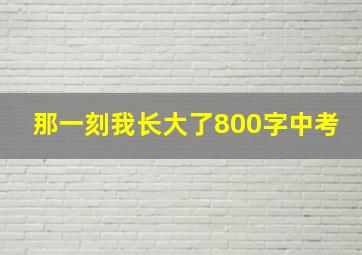 那一刻我长大了800字中考