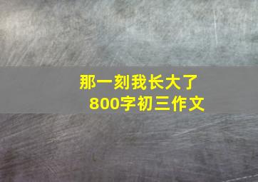 那一刻我长大了800字初三作文