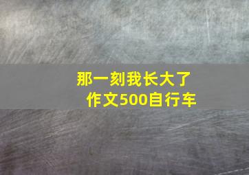 那一刻我长大了作文500自行车