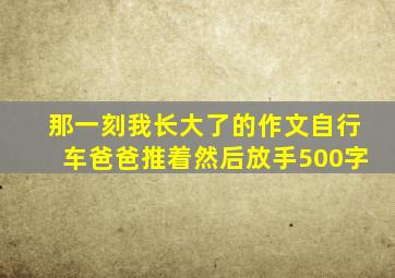 那一刻我长大了的作文自行车爸爸推着然后放手500字