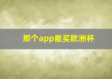 那个app能买欧洲杯