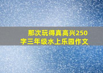 那次玩得真高兴250字三年级水上乐园作文