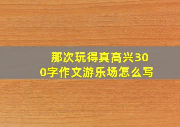 那次玩得真高兴300字作文游乐场怎么写