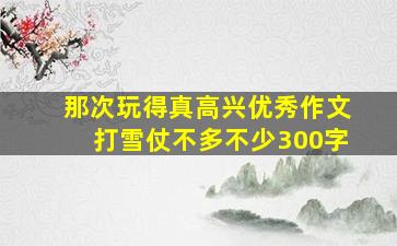 那次玩得真高兴优秀作文打雪仗不多不少300字