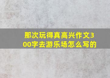 那次玩得真高兴作文300字去游乐场怎么写的