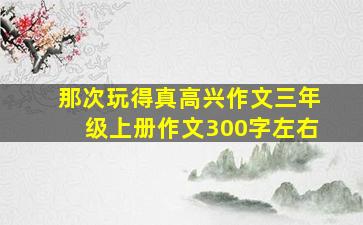 那次玩得真高兴作文三年级上册作文300字左右