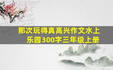 那次玩得真高兴作文水上乐园300字三年级上册