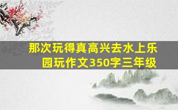 那次玩得真高兴去水上乐园玩作文350字三年级