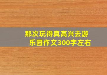 那次玩得真高兴去游乐园作文300字左右