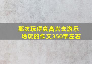 那次玩得真高兴去游乐场玩的作文350字左右