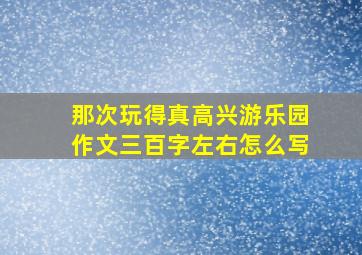 那次玩得真高兴游乐园作文三百字左右怎么写