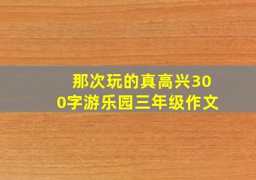 那次玩的真高兴300字游乐园三年级作文