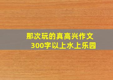 那次玩的真高兴作文300字以上水上乐园