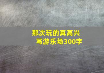 那次玩的真高兴写游乐场300字