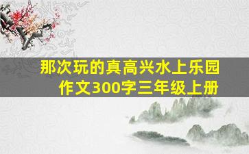 那次玩的真高兴水上乐园作文300字三年级上册