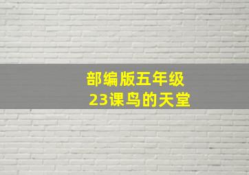 部编版五年级23课鸟的天堂