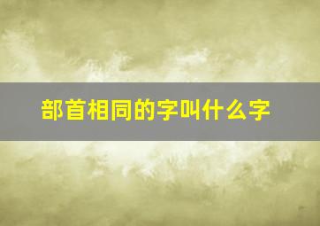 部首相同的字叫什么字