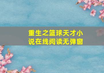 重生之篮球天才小说在线阅读无弹窗