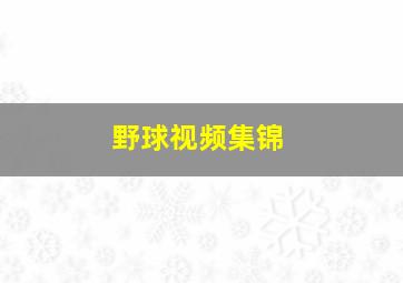 野球视频集锦