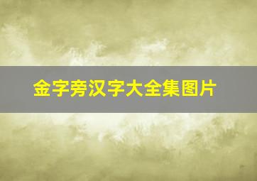 金字旁汉字大全集图片