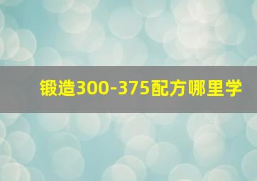 锻造300-375配方哪里学