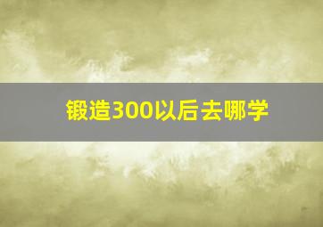 锻造300以后去哪学