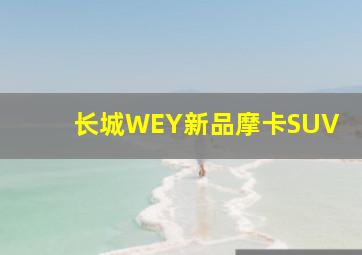 长城WEY新品摩卡SUV