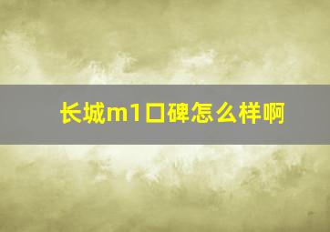 长城m1口碑怎么样啊