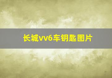 长城vv6车钥匙图片