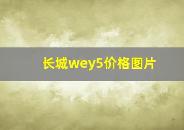 长城wey5价格图片