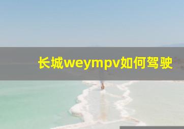 长城weympv如何驾驶