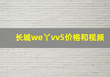 长城we丫vv5价格和视频