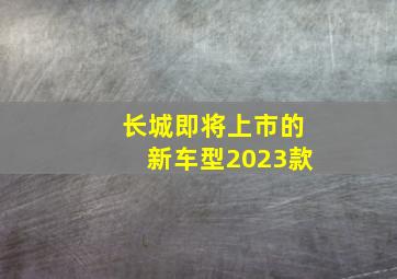 长城即将上市的新车型2023款