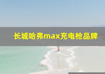 长城哈弗max充电枪品牌