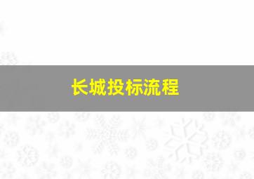 长城投标流程