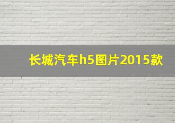 长城汽车h5图片2015款