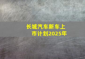 长城汽车新车上市计划2025年