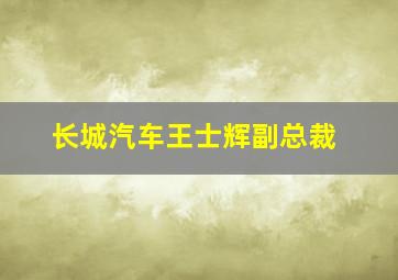 长城汽车王士辉副总裁