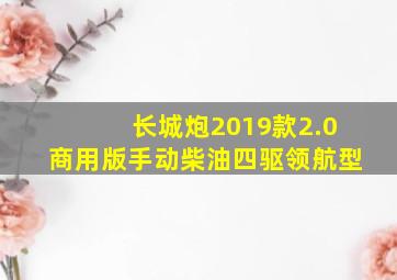 长城炮2019款2.0商用版手动柴油四驱领航型