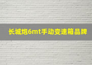 长城炮6mt手动变速箱品牌