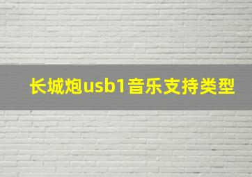 长城炮usb1音乐支持类型