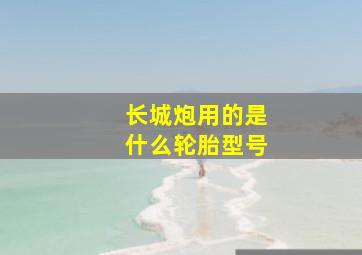 长城炮用的是什么轮胎型号