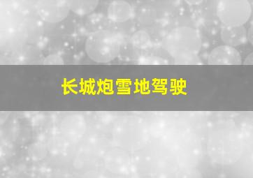 长城炮雪地驾驶