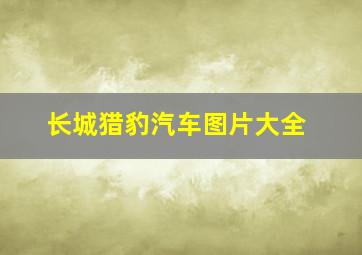 长城猎豹汽车图片大全